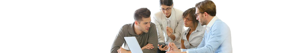 Evaluadores