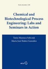 Chemical and Biotechnological Process Engineering: Labs and Seminars in Action