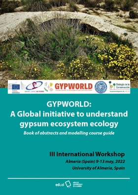 3RD INTERNATIONAL WORKSHOP GYPWORLD